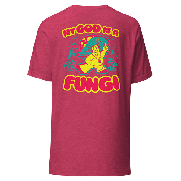 Disco Fungi